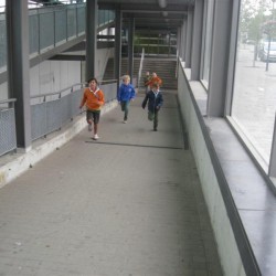 IMG 4977  Medium - Scouts en Gidsen Zaventem 